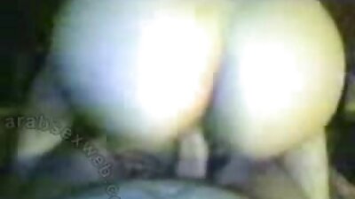 Pisicile se prăbușesc în camera căminului pentru a avea o petrecere cu studenții